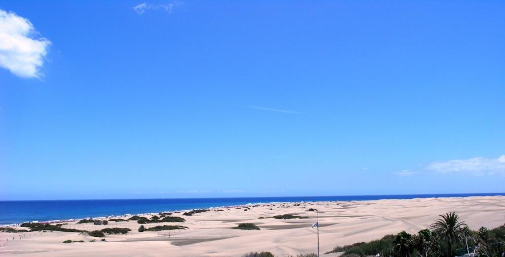 Alsol Patricio Leilighet Playa del Inglés Eksteriør bilde